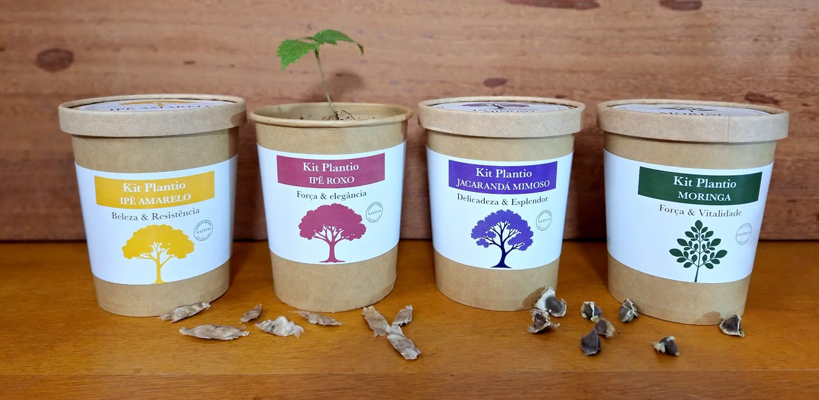 Coleção de Árvores Do Jardim